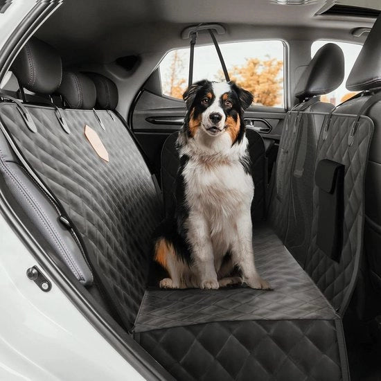 Abitacolo per cani auto con copertura impermeabile e protezione laterale e finestrino di osservazione - Resistente ai graffi