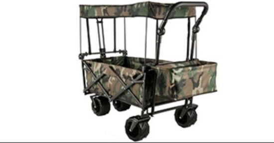 Carrozzina Opaca - Carrello Pieghevole - Manubrio e Maniglie - Con Tetto - Trasporto Bambini - Pneumatici 17,8 cm