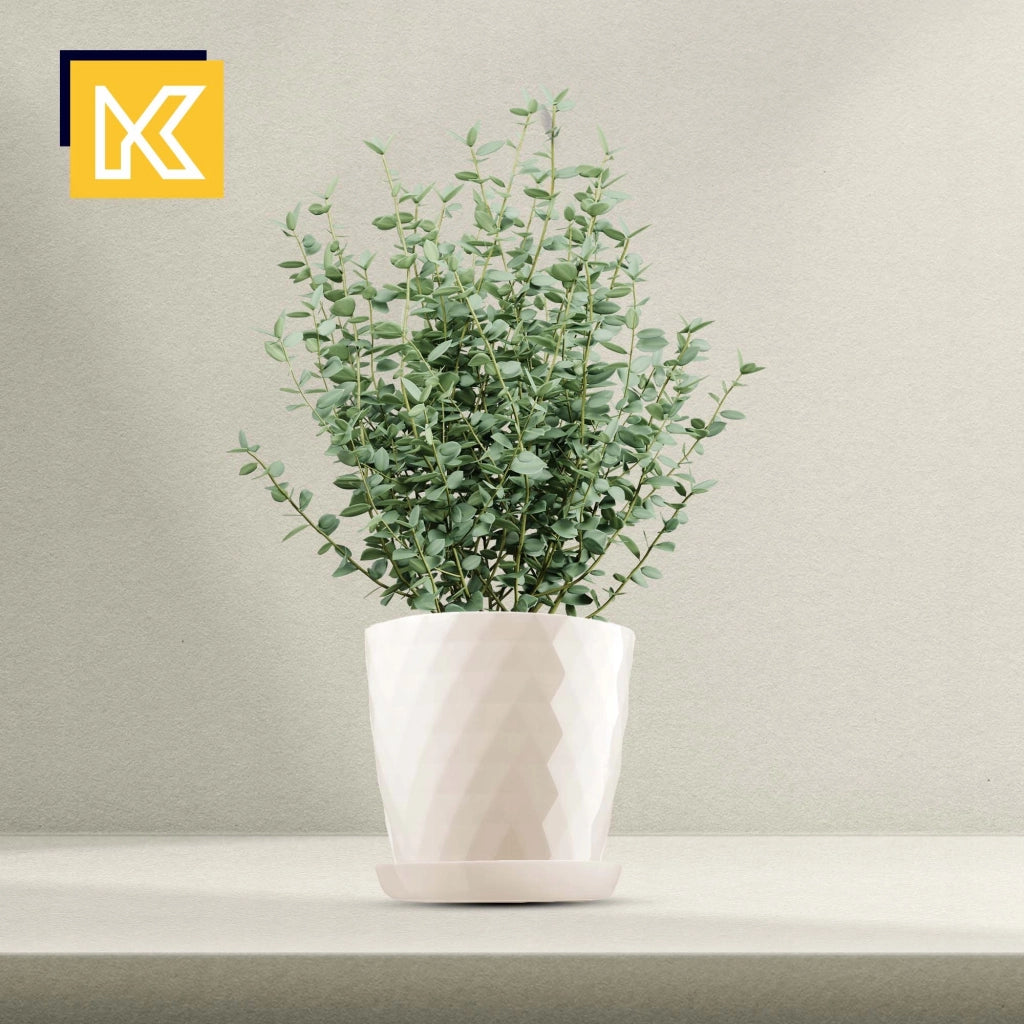 Vaso da fiori KADAX, coprivaso, 25 cm, supporto per fiori, plastica color crema, 3 pezzi.
