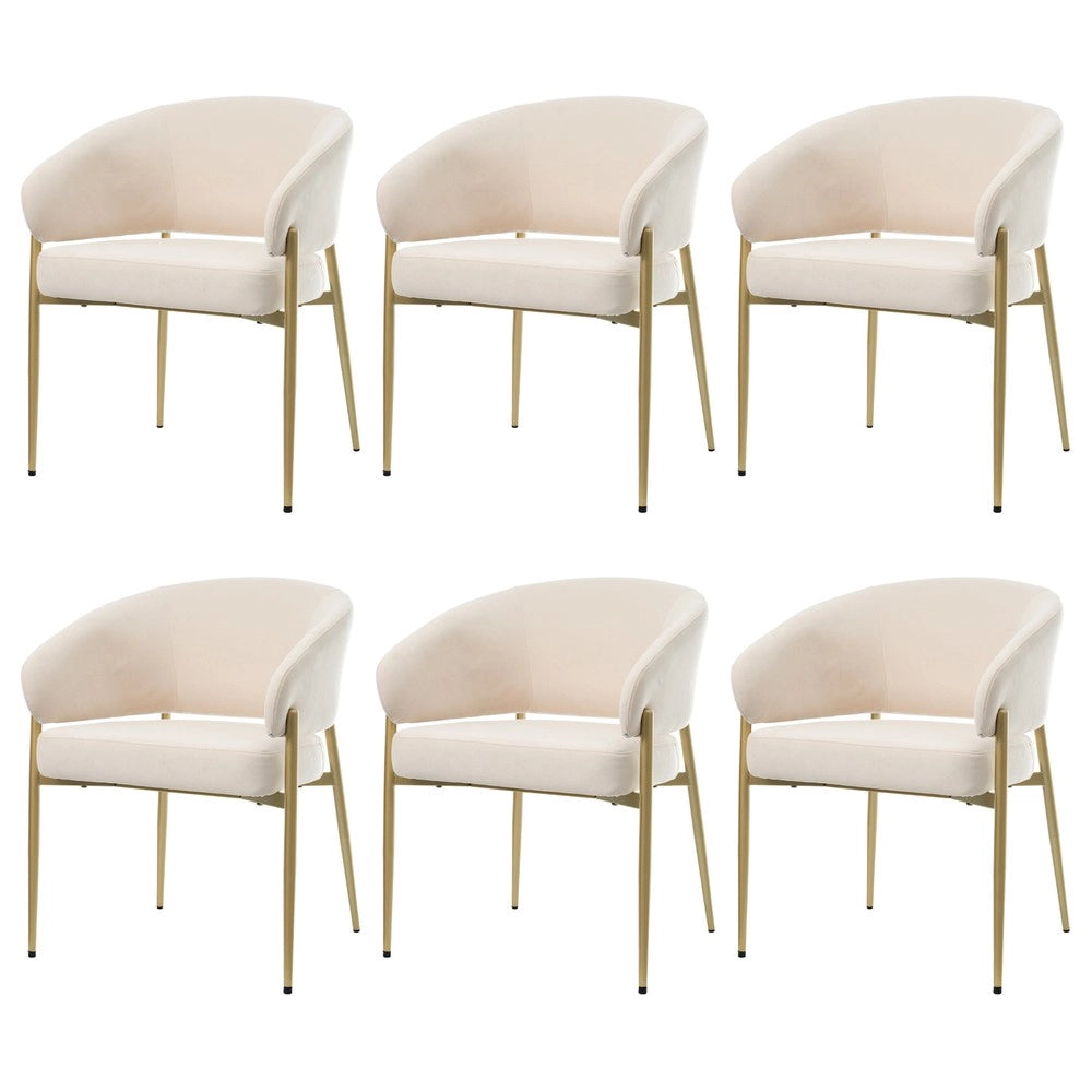 2 Sedie da pranzo in velluto - Zephmum - Comode e traspiranti, stile moderno, colore beige e oro champagne