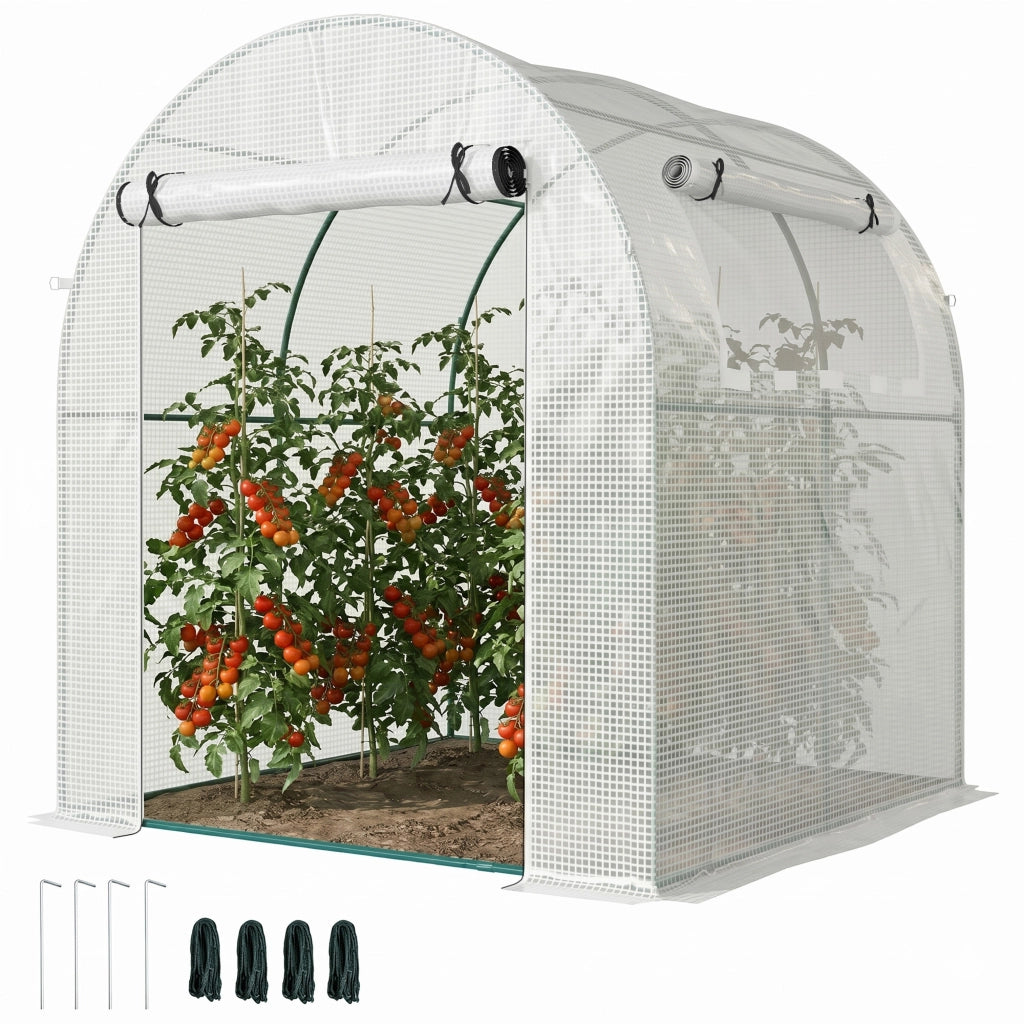 Serra da giardino tunnel 180x180x200 cm con porta a rullo e finestra in rete ¨C zephmum ¨C bianco