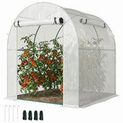 Serra da giardino tunnel 180x180x200 cm con porta a rullo e finestra in rete ¨C zephmum ¨C bianco