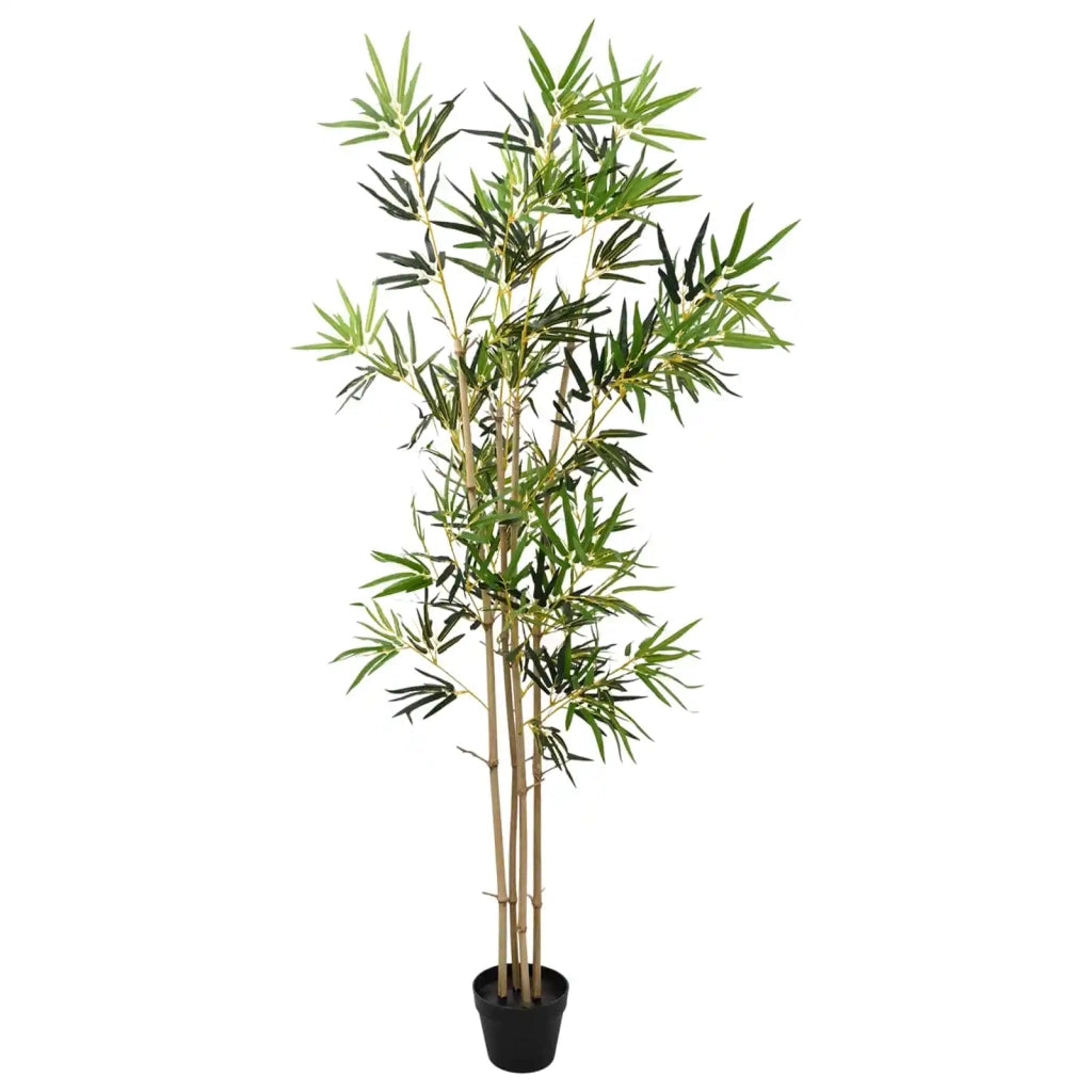 Albero di Bamb¨´ Verde 75,5 x 18 x 175 cm Tessuto e Bamb¨´ CFW8617917