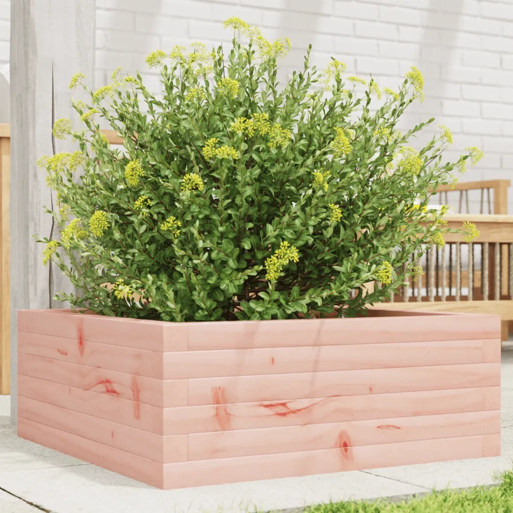 Fioriera da Giardino-Vaso da Esterno 60x60x23 cm in Legno Massello di Douglas