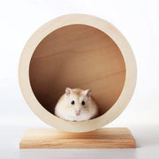 Giradisca per Piccoli Animali Dampingo Ruotante per Riposo e Esercizio di Hamsters Siriani Gerbili Ratti Topi Chinchilla Nane (S Φ/15cm)