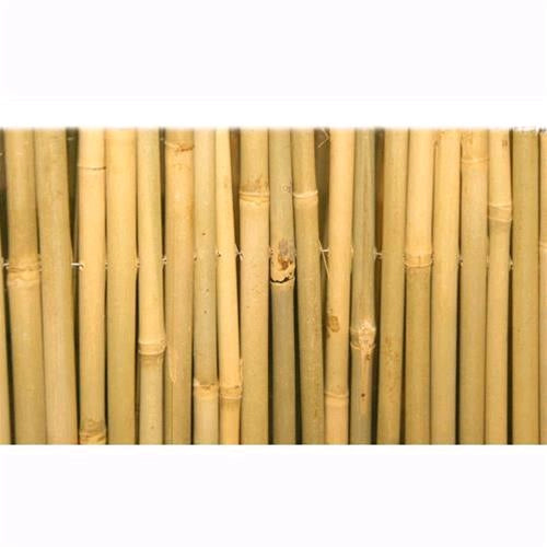 Tenda Arella Master In Canna Di Bamboo Pulita Dimensione 150X300Cm
