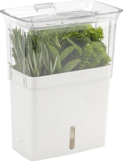 Contenitore per erbe fresche, box per erbe da taglio, erbe da cucina, acrilico