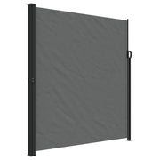 Tenda da Sole | Tenda parasole laterale retrattile antracite 220x300 cm