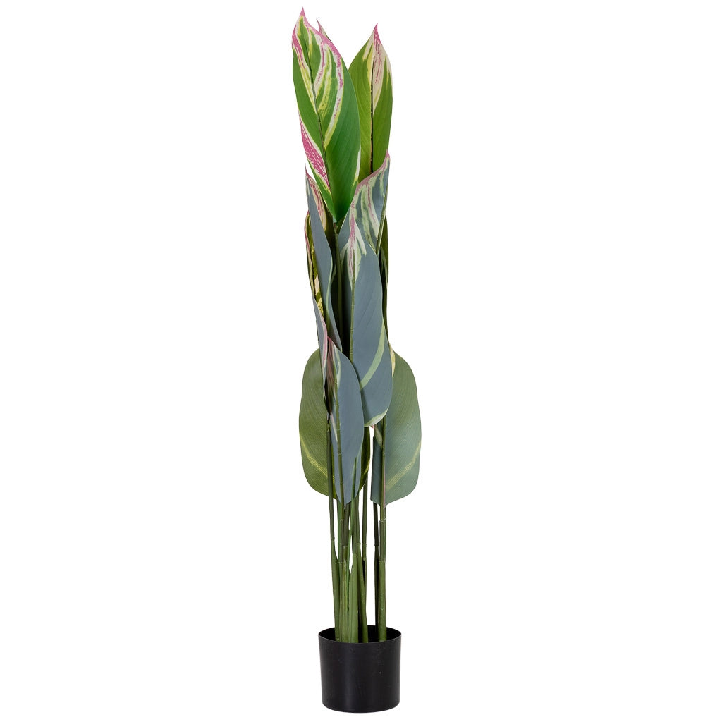 Pianta artificiale decorativa verde con 12 foglie verde 65x65x120