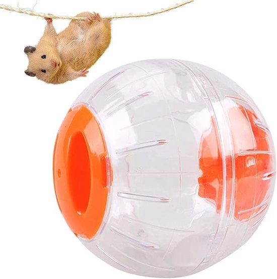 Ginnastica trasparente per hamsters - Mini-gimnastica rotante per piccoli animali - Allenamento a casa e pallone di allenamento