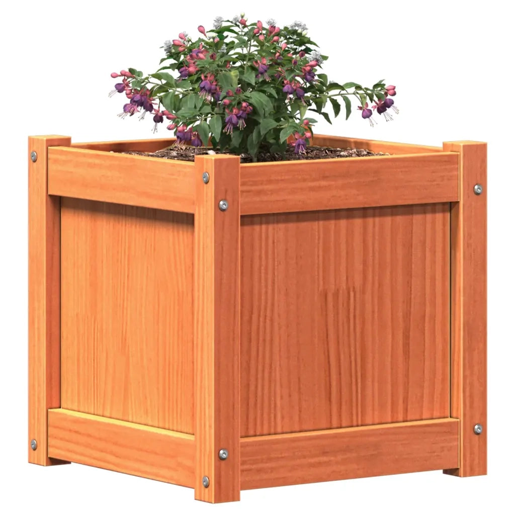 Fioriere da Giardino 2pz Marrone Cera Legno Massello di Pino 837409
