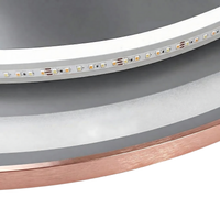 Specchio Led 70cm Mmj Brush Copper