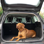 Sistema di sostegno per cani per auto - facile da installare - compatibile con hatchback, SUV, berline e monovolume - regolabile in larghezza senza strumenti