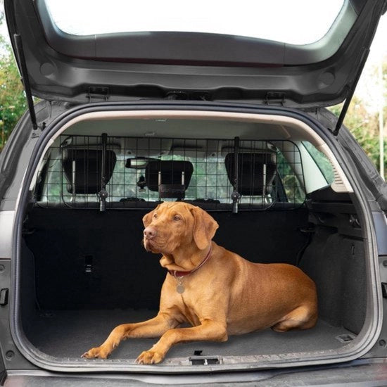 Sistema di sostegno per cani per auto - facile da installare - compatibile con hatchback, SUV, berline e monovolume - regolabile in larghezza senza strumenti