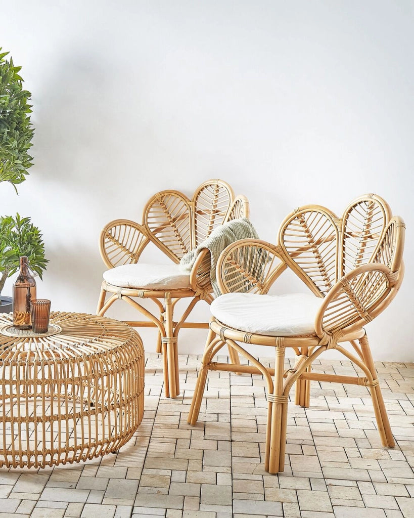Sedia pavone sedia in cotone rattan giardino esterno interno boho