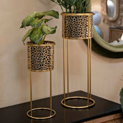 Oggettistica Robert, Complemento d'arredo, Articolo decorativo, Accessorio d'arredo, Oro, 17x17 h46 cm