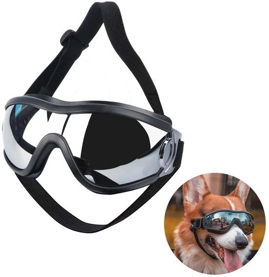Occhiali da sole per cani - Protezione UV - Cinturino regolabile