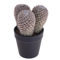 Set 3 Cactus Artificiale X 3 con Vaso Altezza 16 cm