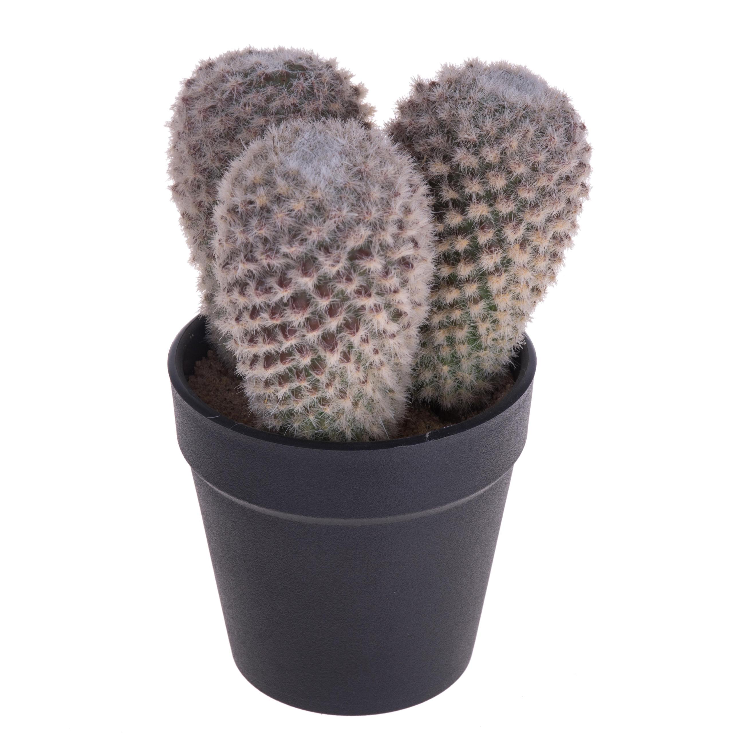 Set 3 Cactus Artificiale X 3 con Vaso Altezza 16 cm