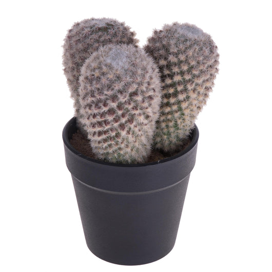 Set 3 Cactus Artificiale X 3 con Vaso Altezza 16 cm