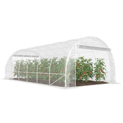 Serra Tunnel 6x3x2 m ¨C zephmum ¨C 2 Porte Avvolgibili Struttura Acciaio Galvanizzato Copertura PE Anti-UV