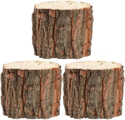 Bacchi per piante 3 pezzi - Bacchi per piante per interni - Decorazione in legno - Vasi per camera - Adatto per cactaceae - Materiale duraturo - Vaso per piante