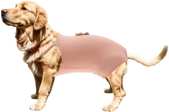 Luiere per Cani Adattabile - Lavabile/Riciclabile - Assorbente - Per Cani Piccoli/Medios - Comodo/Coton - Soluzione Igienica Economica - Luiere per Cani