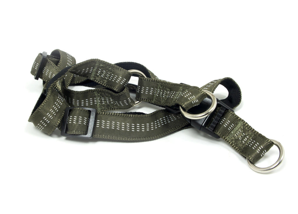 Pettorina Per Cani Regolabile E Resistente Modello Color Doggy - M - Verdone