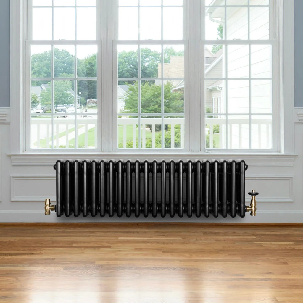 Radiatore Tradizionale 4 Colonne Orizzontale Nero 300 x 1010 mm