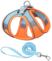 Cinturoni per gatti - Cinturoni per cani anti-fuga - Cinturone per gatti regolabile - Cinturone per gatti con riflessi e respirazione - Cinturoni per cani piccoli e medi - Modello: M