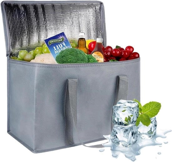 Borsa portaspesa elettrica 35 litri, congelatore per picnic (grigio)