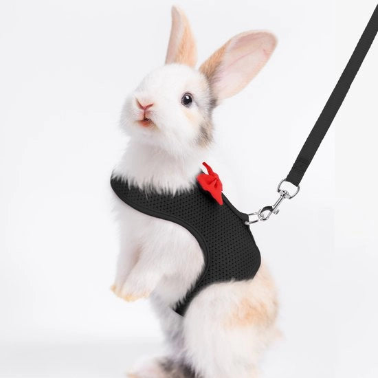 Attrezio per coniglio e cintura, giacca a maglia soffice e respirabile per coniglio con dispositivo di sicurezza, attrezzatura anti-fuga leggera per passeggiate, adatta per conigli, gattini, furetti, cavi, colore nero, taglia M.