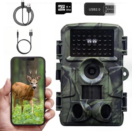 Cassa da osservazione 4K con visione notturna e Wi-Fi - Melder di movimento wireless per osservazione di animali