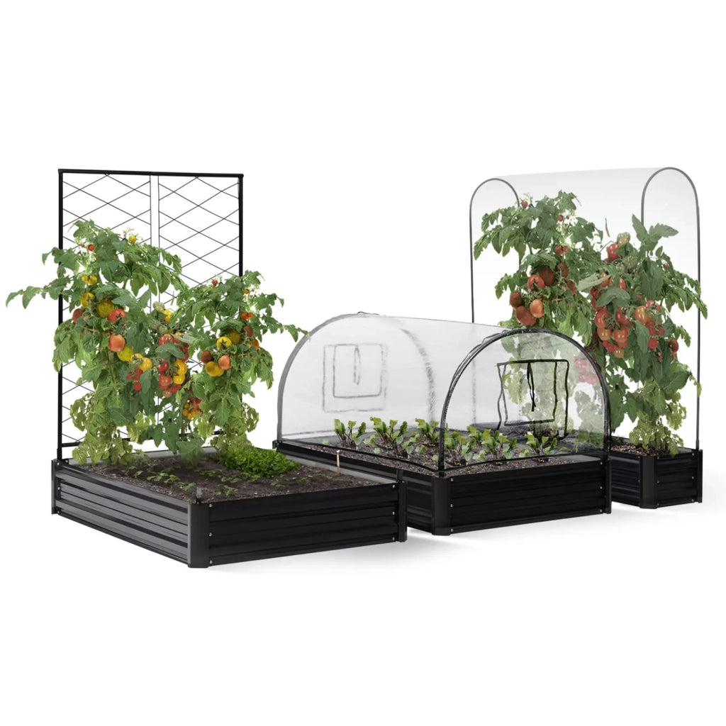 IDMarket - Kit completo di 3 vasche modulari in metallo per orto e serra di pomodori + traliccio + copertura