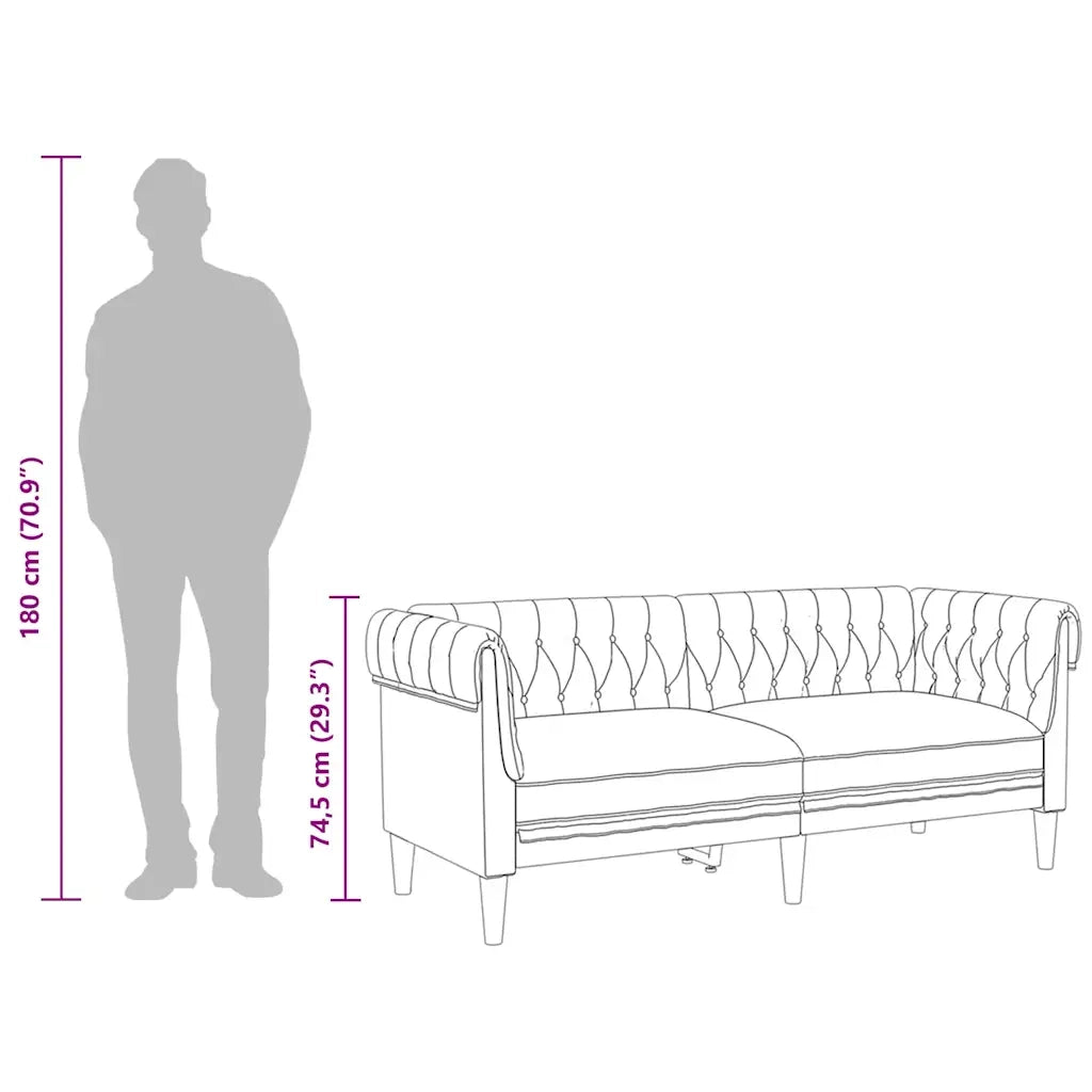 Divano | Divano da soggiorno | Sofa Chesterfield a 2 Posti Grigio Scuro in Tessuto