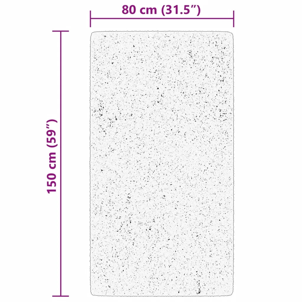 Tappeto del soggiorno | Tappeto a Pelo Corto HUARTE Morbido e Lavabile Nero 80x150 cm