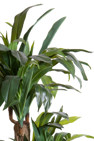 Pianta Artificiale Tronco Della Felicità con Vaso H 150 cm