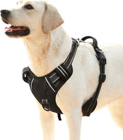 Harnas per cani con funzione antiscivolo e strisce riflettenti - Ideale per cani piccoli, medi e grandi, taglia L