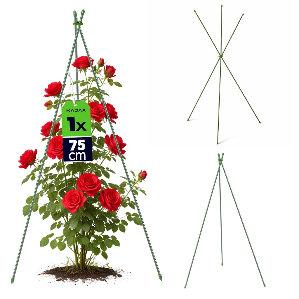 Tutore conico per piante KADAX 75 cm verde