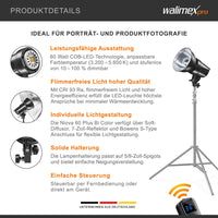 Niova 60 Plus Bi Colour luce video LED dimmerabile con riflettore Bowens e diffusore morbido I Luce da studio con tecnologia COB LED I 3200-5600 K, CRI=93 I Luminosità regolabile