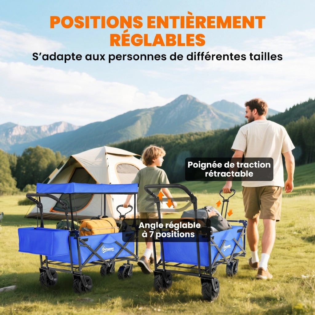Carrello Pieghevole Trasporto ¨C Zephmum ¨C Nero Blu Acciaio