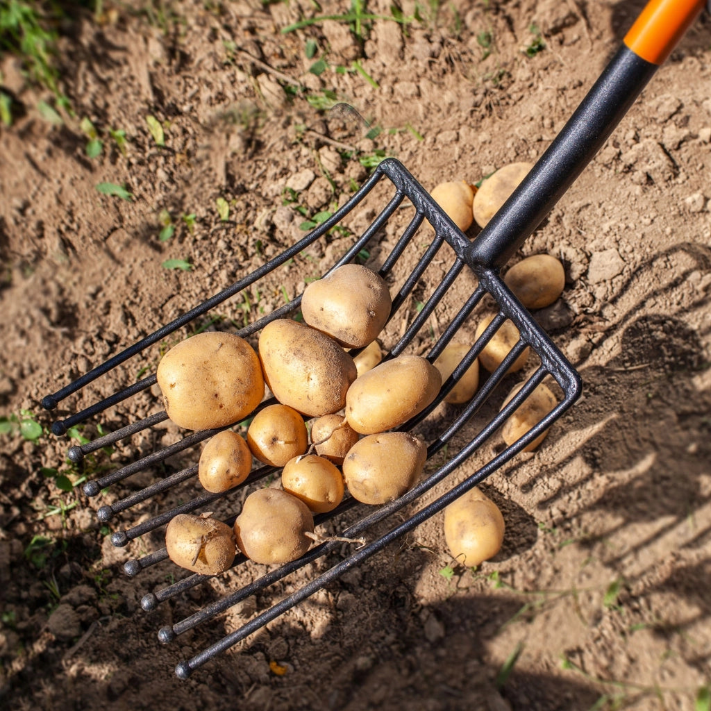 Forca KADAX a 10 denti per patate e barbabietole, in metallo massiccio e resistente, lunga 130 cm.