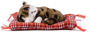 Gatto di Plush - Simulatore di Gioco per Gatto - Materasso morbido - Regalo per Bambini - 14x17 cm - Aspetto Realistico - Gatto di Cuscino