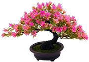 Bonsai Kunstmatige Pianta 20cm in Vaso Ceramico Pianta Estetica Decorazione Giapponese per Camera da Letto Soggiorno Bagno Finestra Decorazione - Podocarpus Bonsai