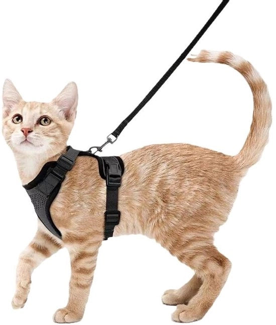 Catena di sicurezza flessibile e adattabile, giubbotto antiscappamento soffice, facile da utilizzare per gatti durante la passeggiata, giacca riflettente respirante, nero, XS