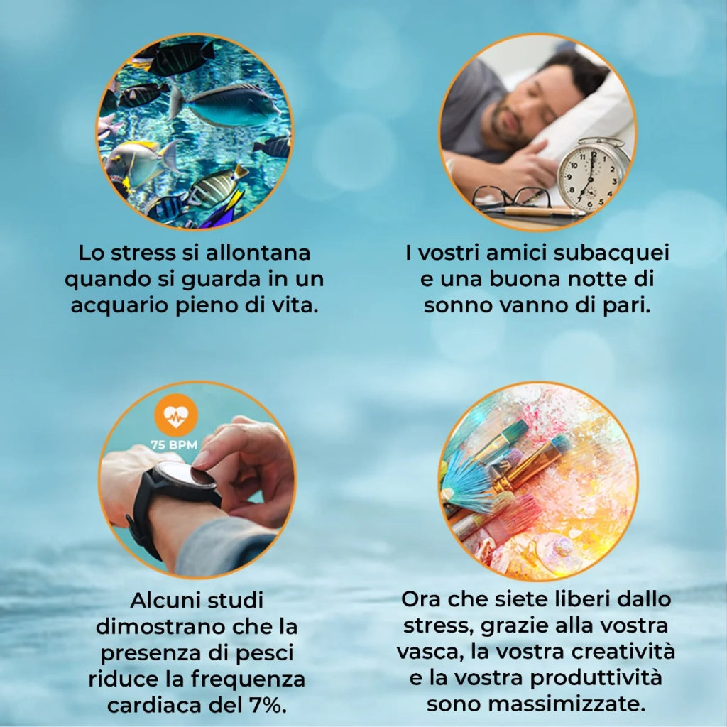 Acquario 300 Litri con Armadietto Nero e Kit con Piante e Ghiaia Naturale