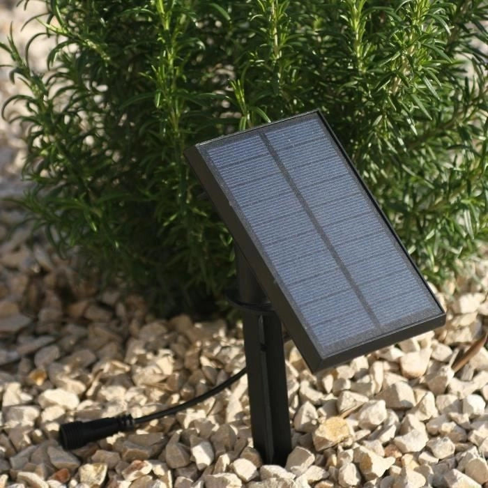 Ghirlanda di luci solari - LUMISKY - MAFY SOLAR - 6,50 m - 10 lampadine a filamento vintage - LED bianco caldo