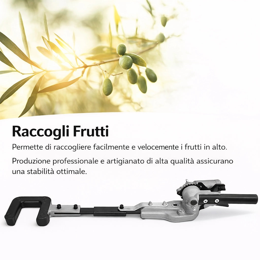 Testa Raccogli Olive per Decespugliatore 26mm 9 Denti Tipo Abbacchiatore