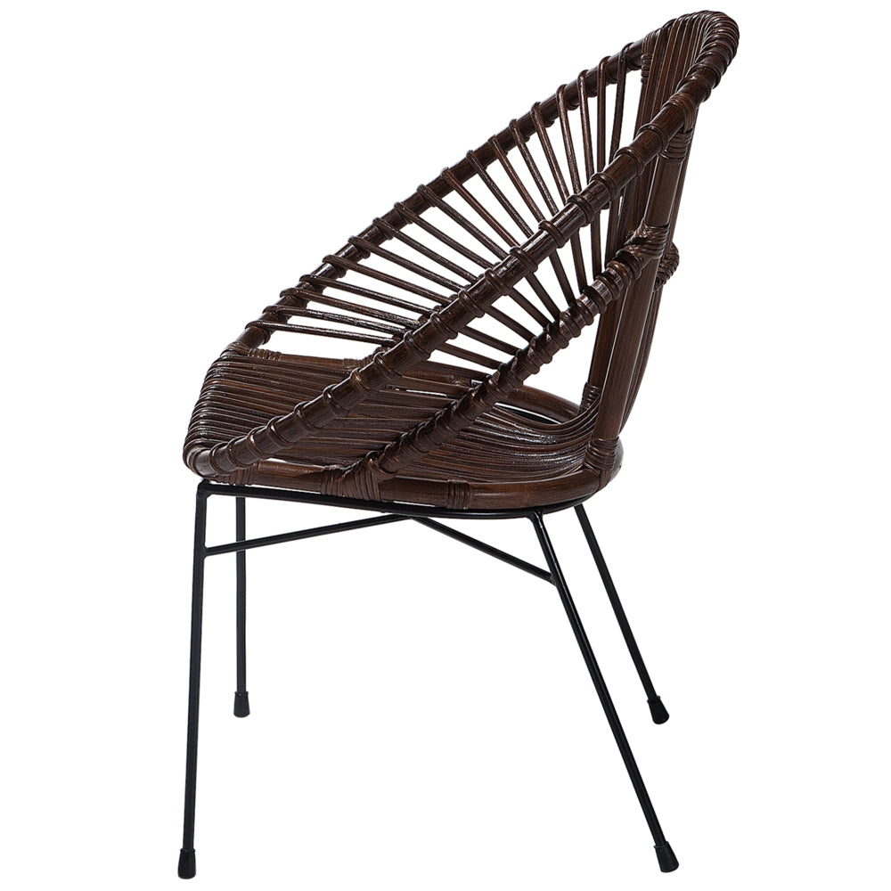 Poltrona in rattan Vimini marrone Gambe in metallo Nero Papasan Soggiorno Sala da pranzo