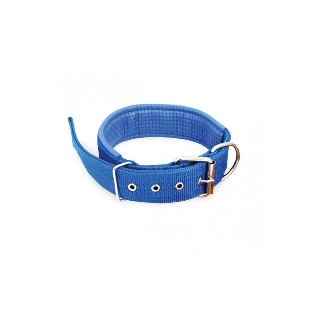 Trade Shop - Collare In Nylon Con Imbottitura Per Cani Tg. Grande Chiusura Fibbia Regolabile -